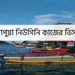 পাপুয়া নিউগিনি কাজের ভিসা