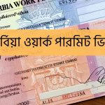 সার্বিয়া ওয়ার্ক পারমিট ভিসা